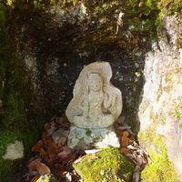 �H�t����