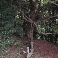 ○○○○○○○○イメージ