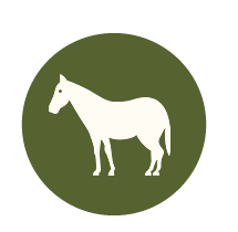 日曜班活動日誌