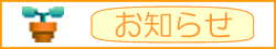 m点