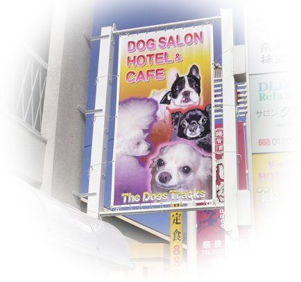 Image1.jpg