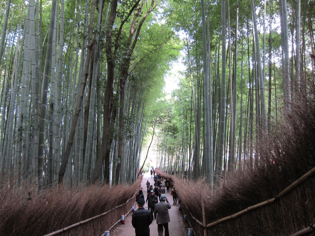 活動報告写真