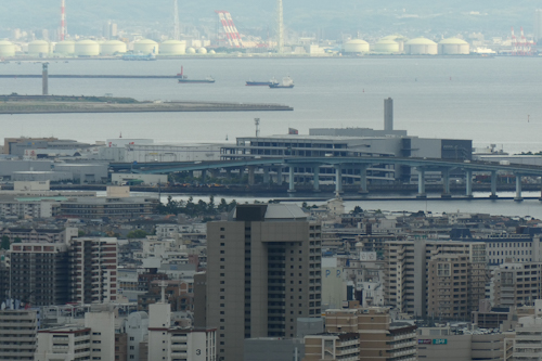 海