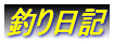 ނL