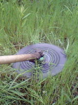 kusakari