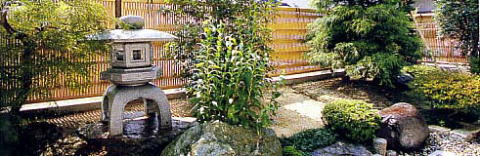 niwa2