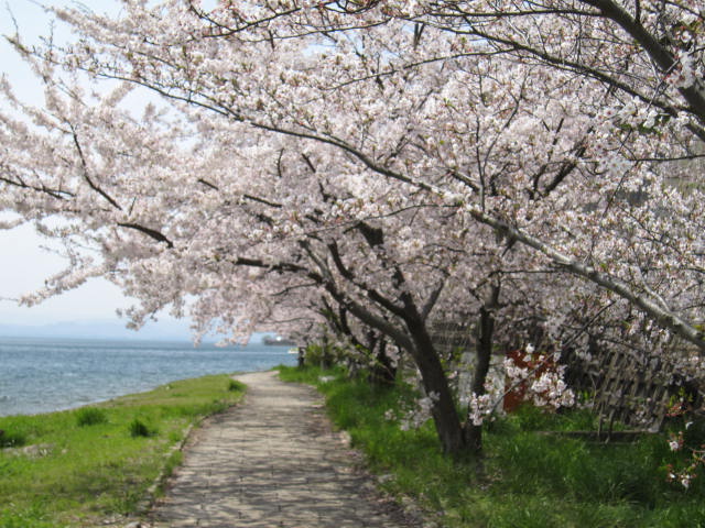 お花見へ2010.4.17