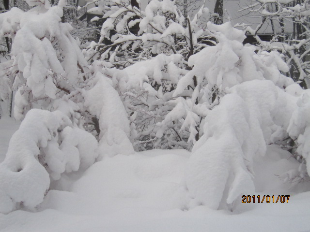 雪