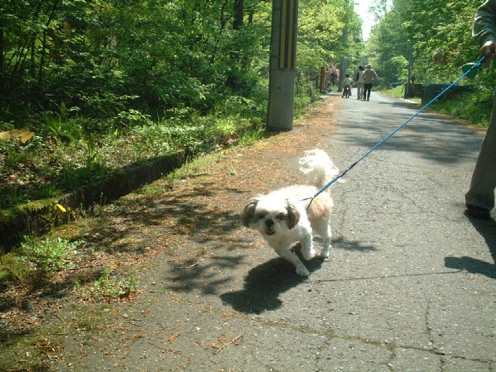 2007.5.4U 009