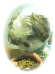 pp񂪂ŐHׂĂ񂾂I