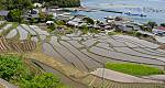 若狭路カメラ散歩(日引きの棚田