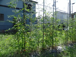 250629