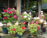 穴太寺・妙見口から