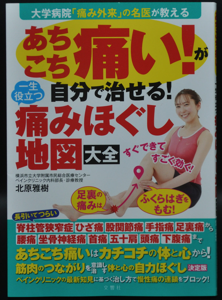 大学病院「痛み外来」の名医が教える あちこち痛い！が自分で治せる！一生役立つ痛みほぐし地図大全